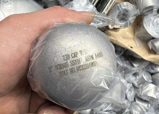 Seamless Duplex Stainless Steel Pipe Fittings SCH10S SCH40S SCH80S SCH160S